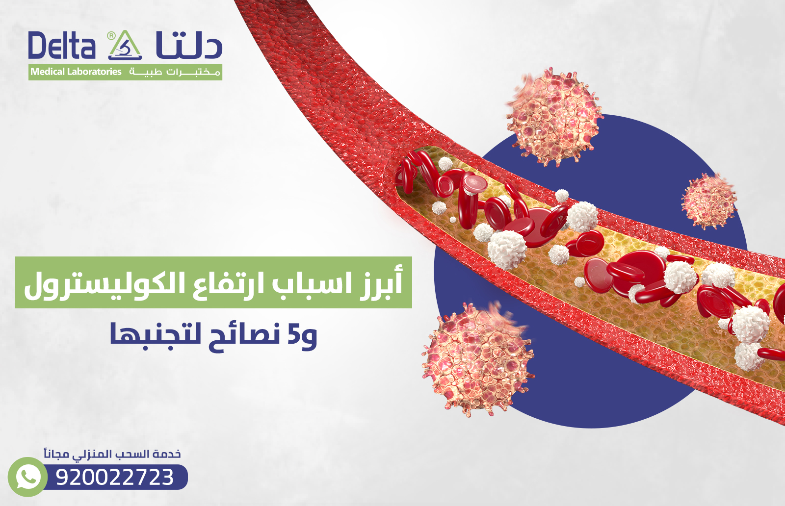 أبرز اسباب ارتفاع الكوليسترول و5 نصائح لتجنبها