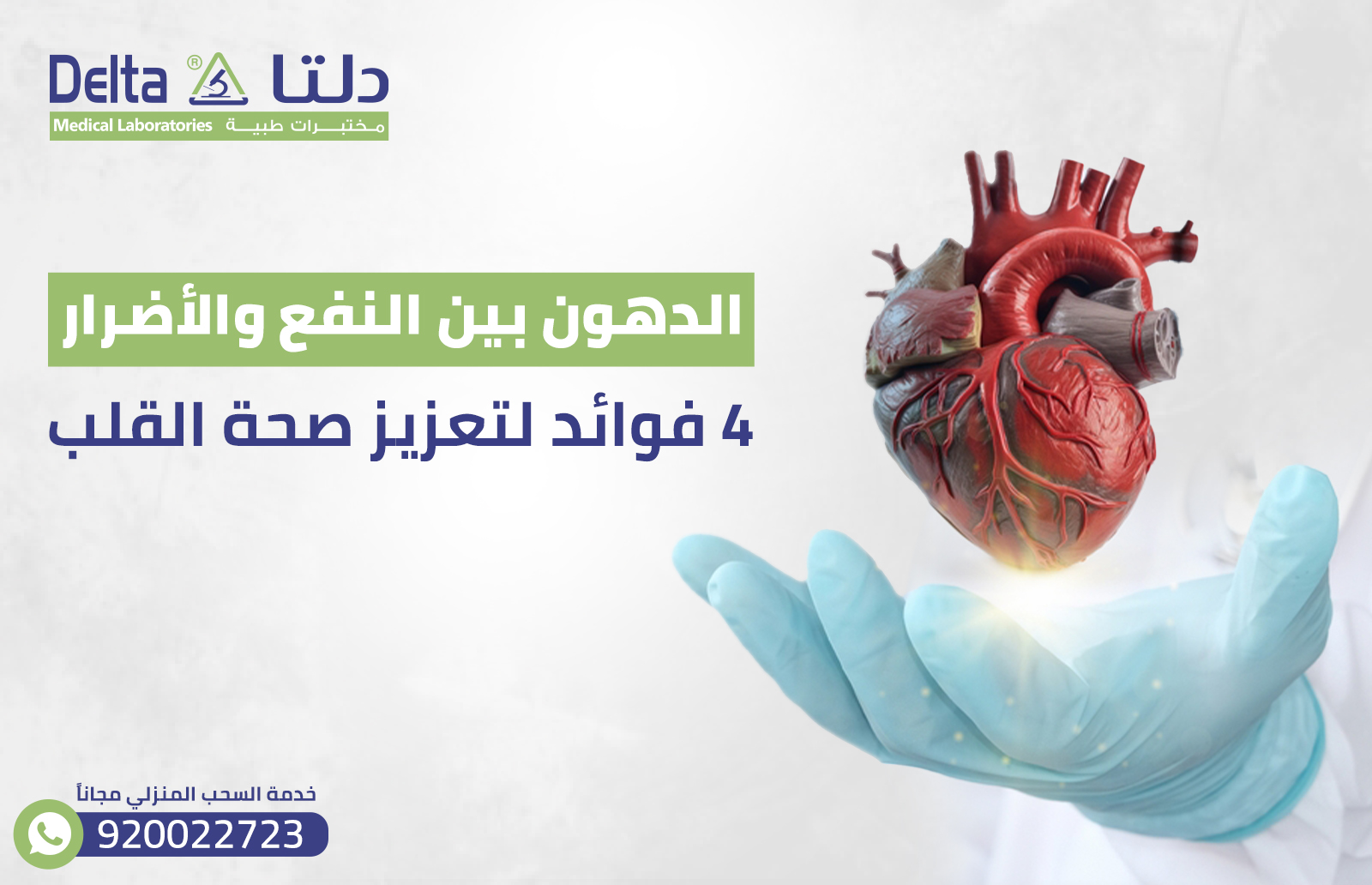 الدهون بين النفع والأضرار: 4 فوائد لتعزيز صحة القلب