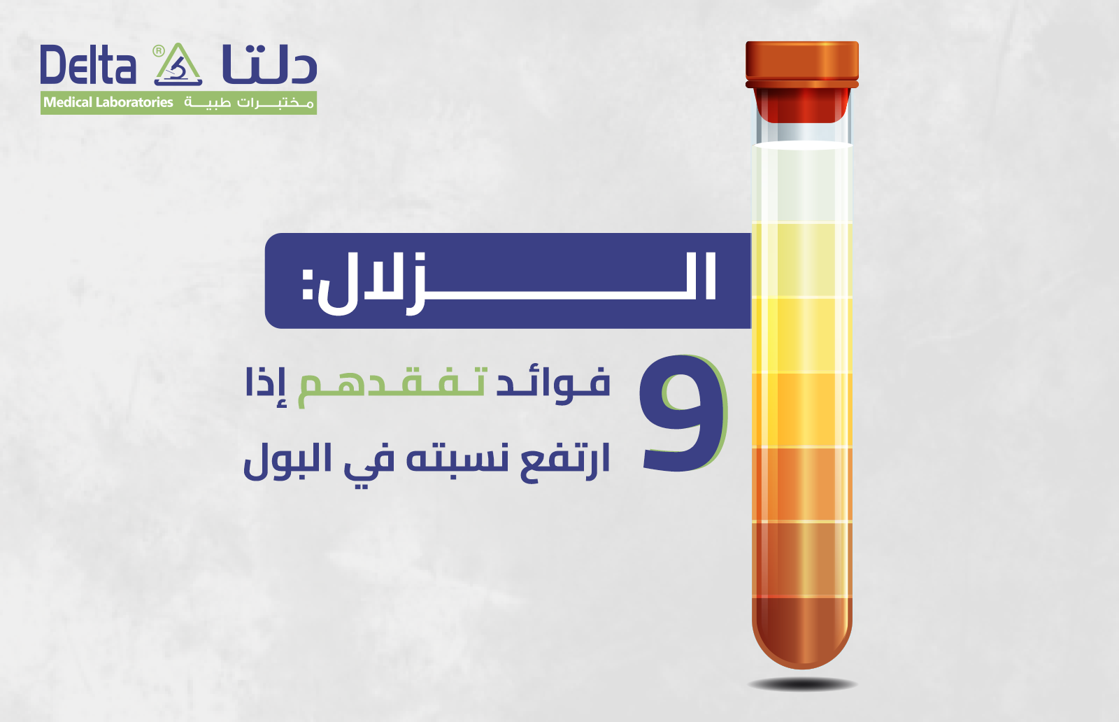 الزلال: 9 فوائد تفقدهم إذا ارتفع نسبته في البول