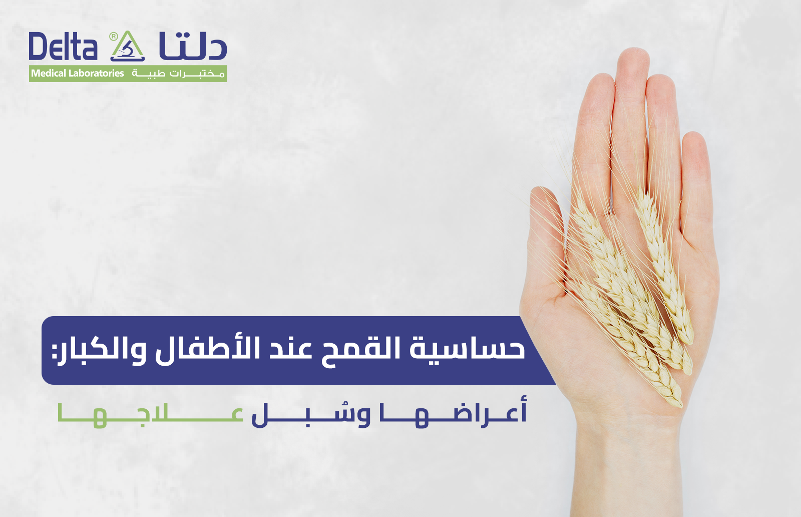 حساسية القمح عند الأطفال والكبار: أعراضها وسُبل علاجها 