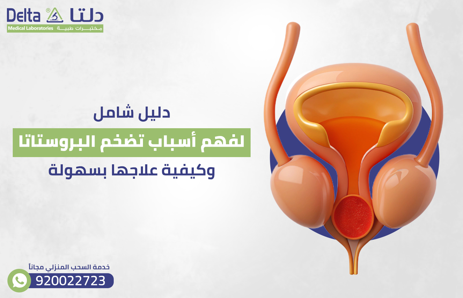 دليل شامل| لفهم اسباب تضخم البروستاتا وكيفية علاجها بسهولة