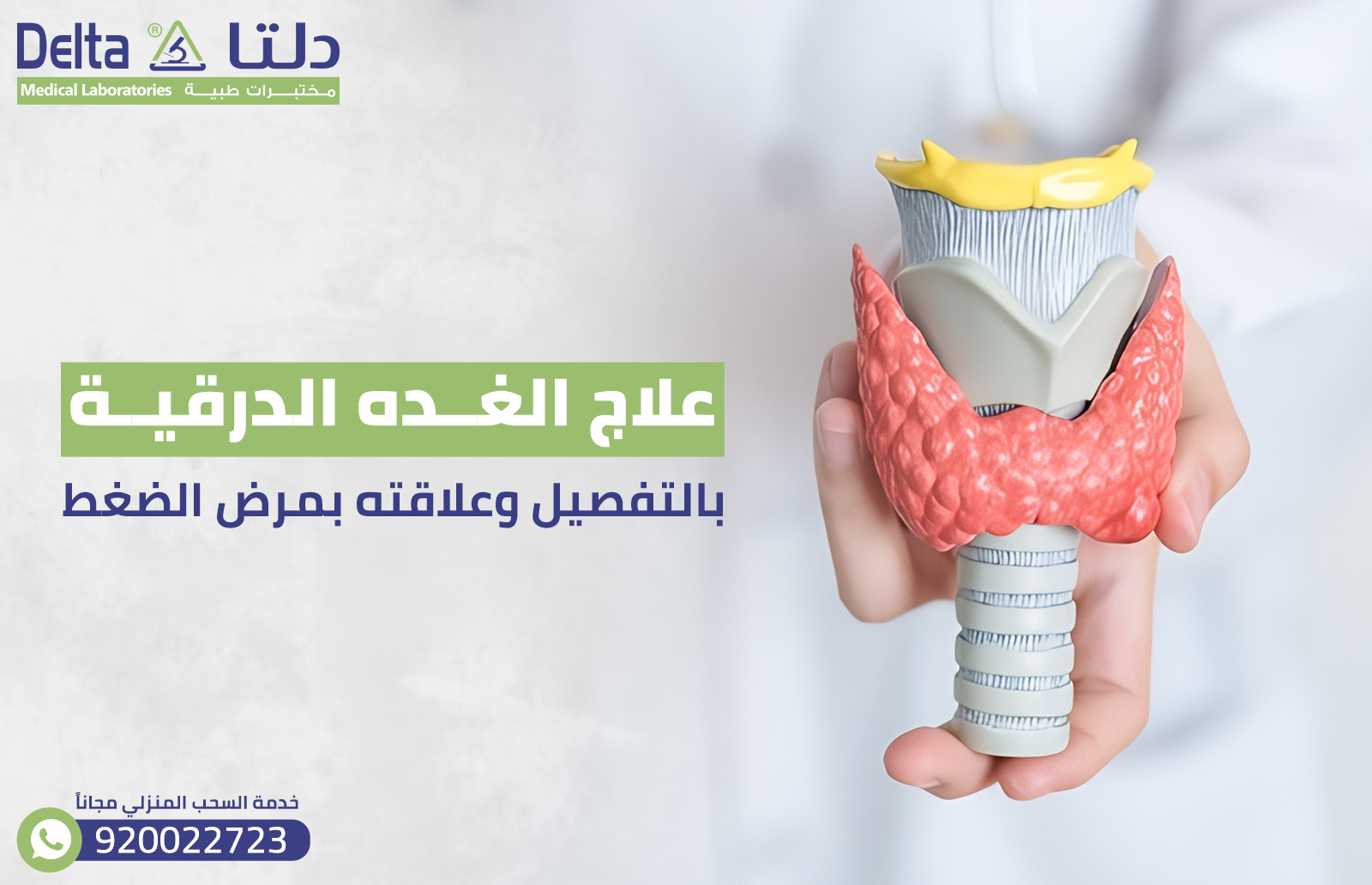 علاج الغده الدرقية بالتفصيل وعلاقته بمرض الضغط