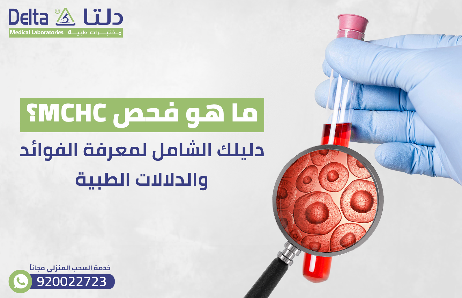 ما هو فحص MCHC؟ دليلك الشامل لمعرفة الفوائد والدلالات الطبية