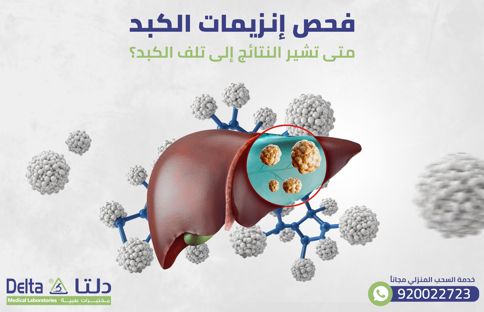 فحص إنزيمات الكبد: متى تشير النتائج إلى تلف الكبد؟
