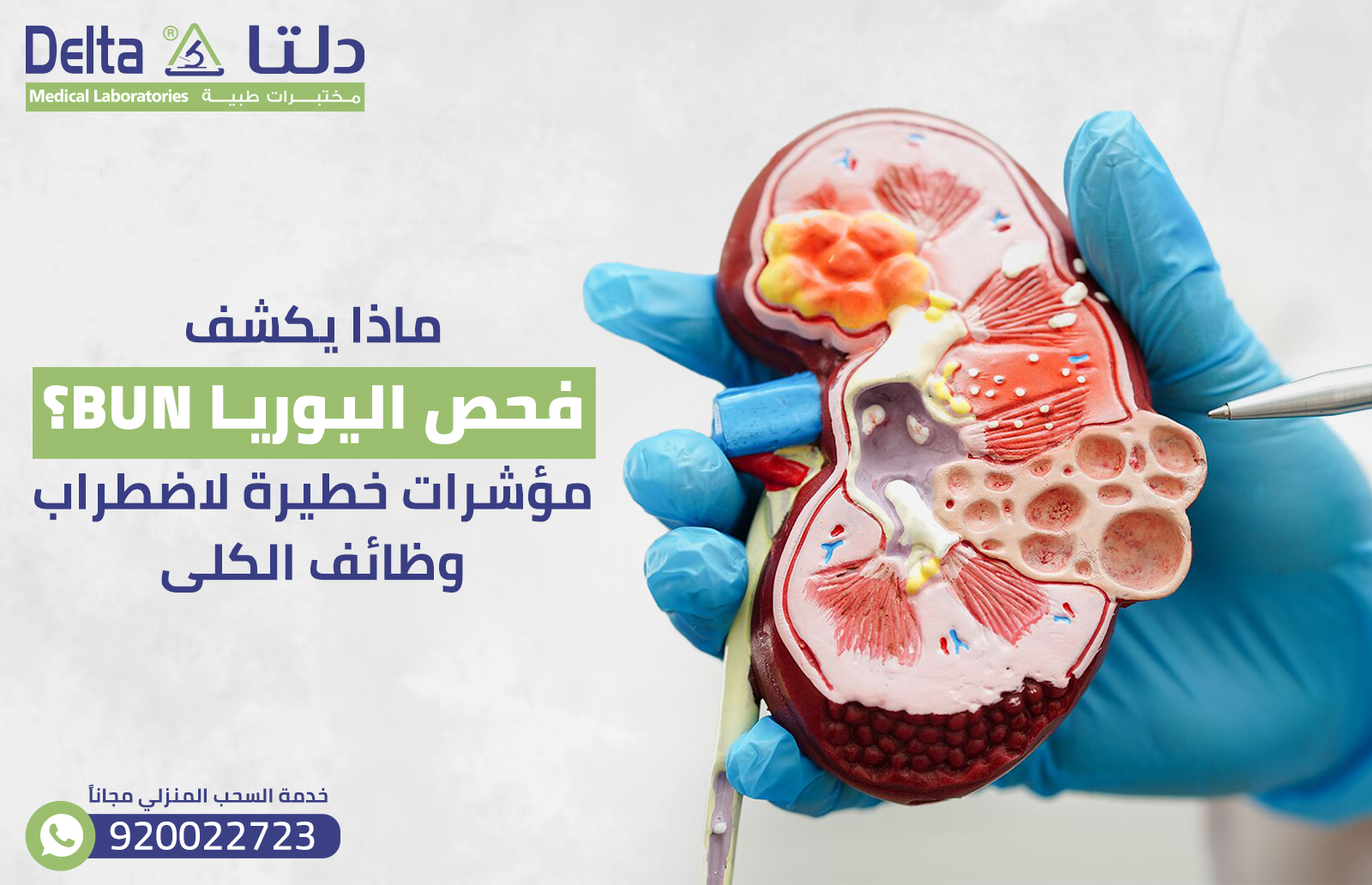 ماذا يكشف فحص اليوريا BUN؟: مؤشرات خطيرة لاضطراب وظائف الكلى