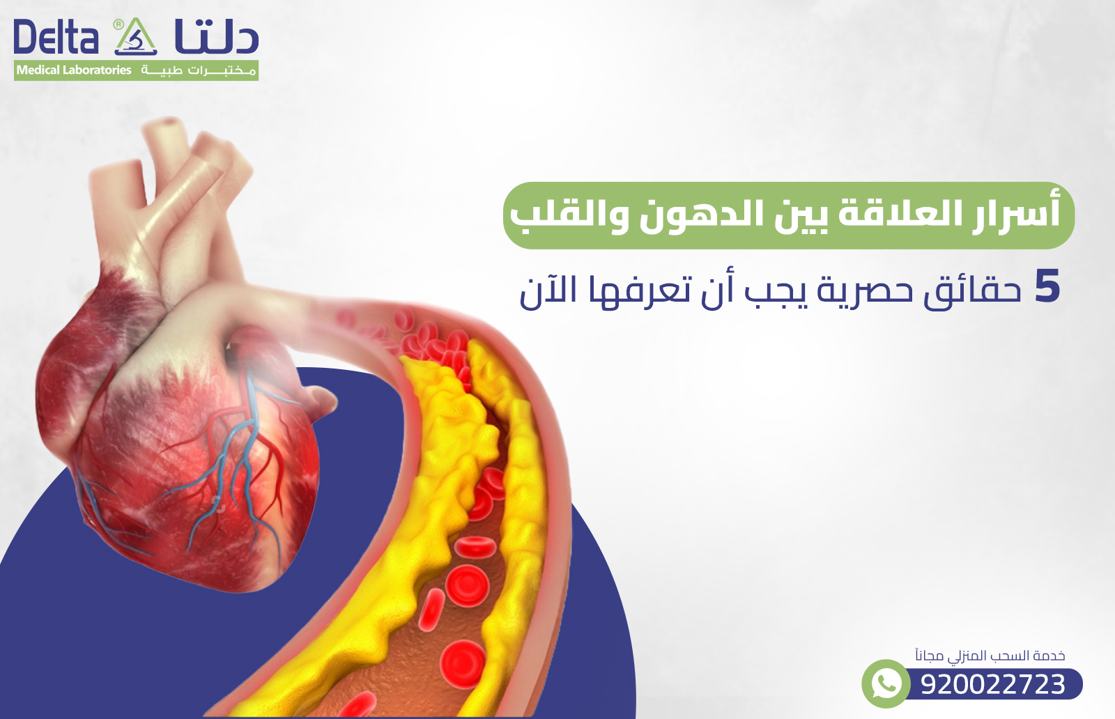 أسرار العلاقة بين الدهون والقلب : 5 حقائق حصرية يجب أن تعرفها الآن