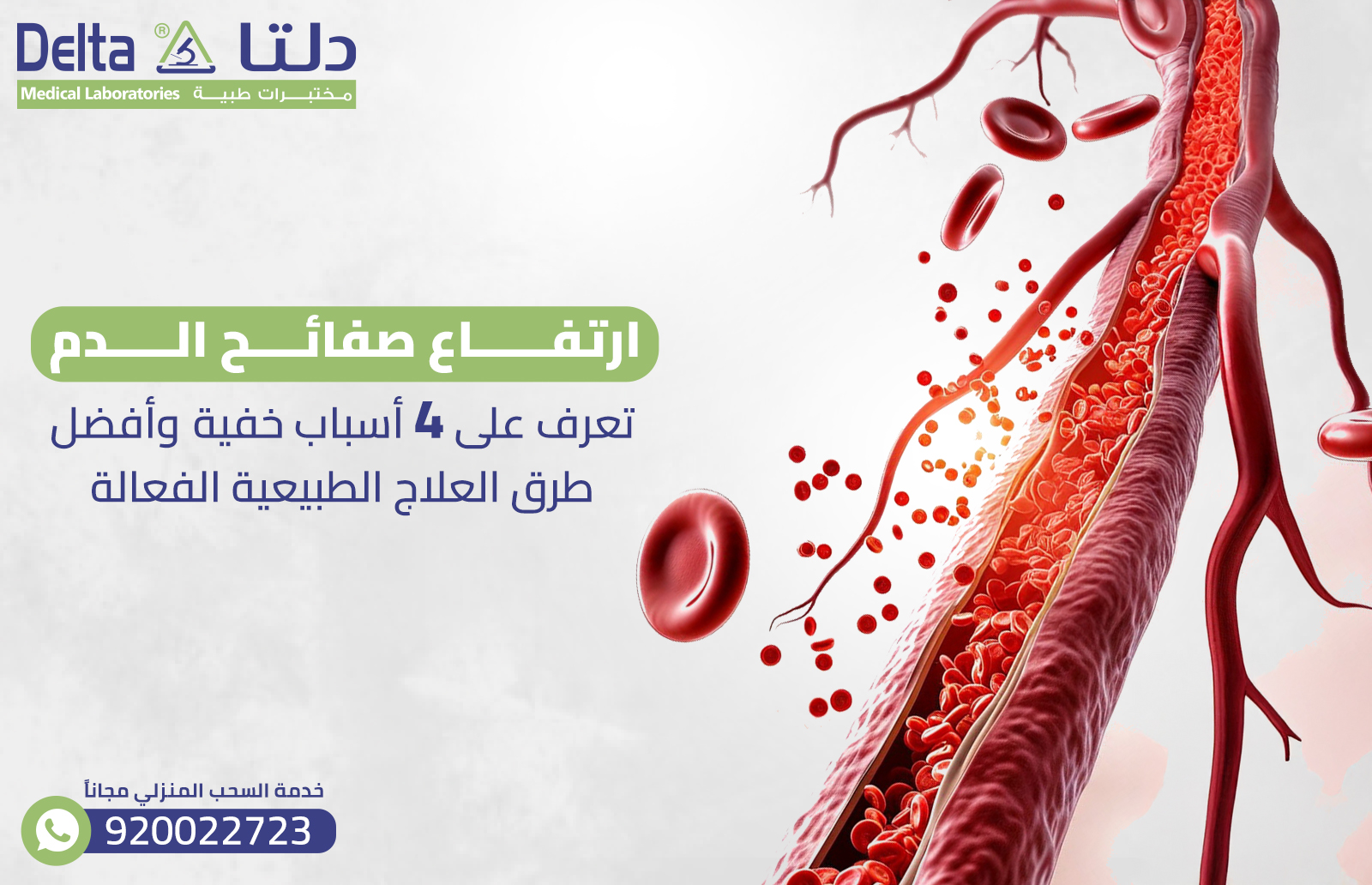 ارتفاع صفائح الدم: 4 أسباب خفية وأفضل طرق العلاج الطبيعية