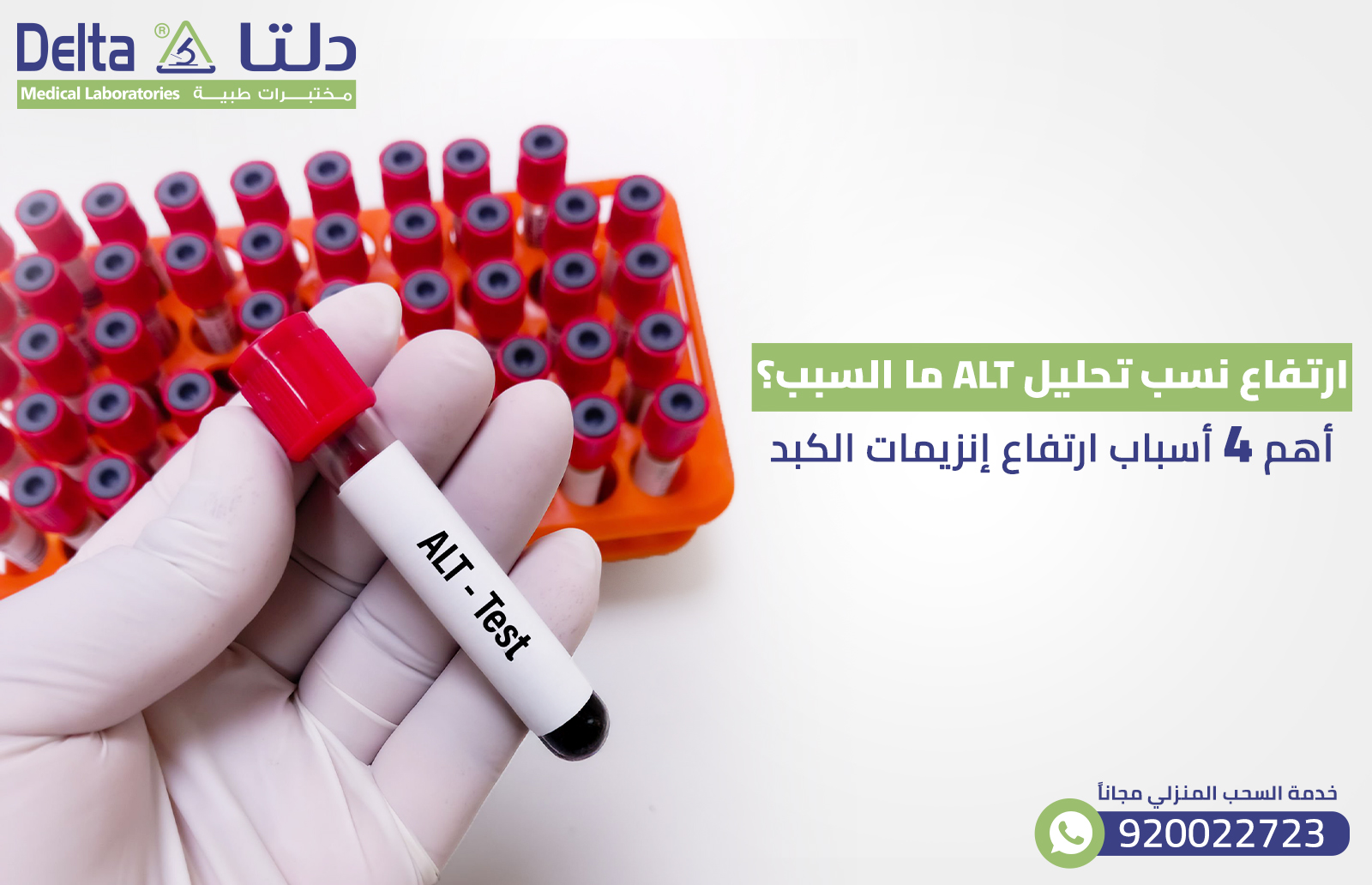 ارتفاع نسب تحليل alt ما السبب؟ أهم 4 أسباب ارتفاع إنزيمات الكبد