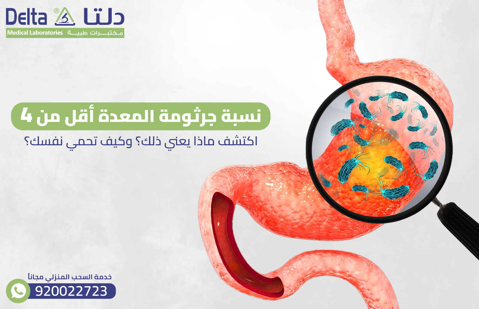 نسبة جرثومة المعدة أقل من 4: اكتشف ماذا يعني ذلك؟ وكيف تحمي نفسك؟