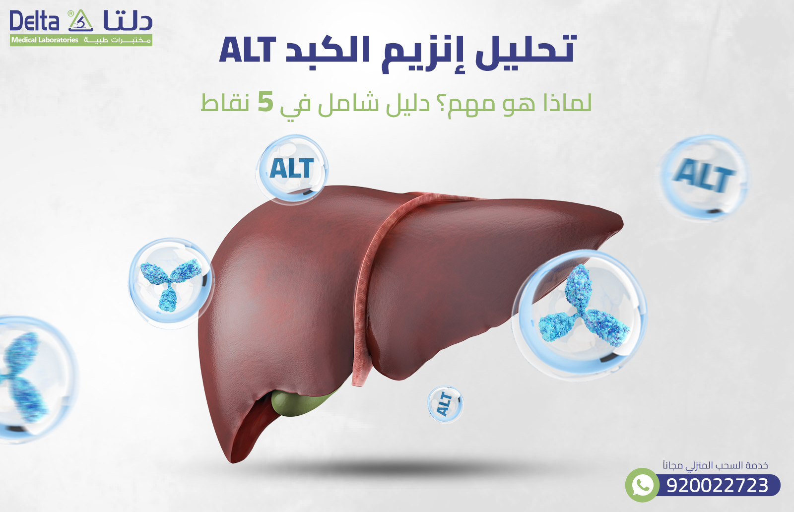 تحليل إنزيم الكبد ALT: لماذا هو مهم؟ دليل شامل في 5 نقاط