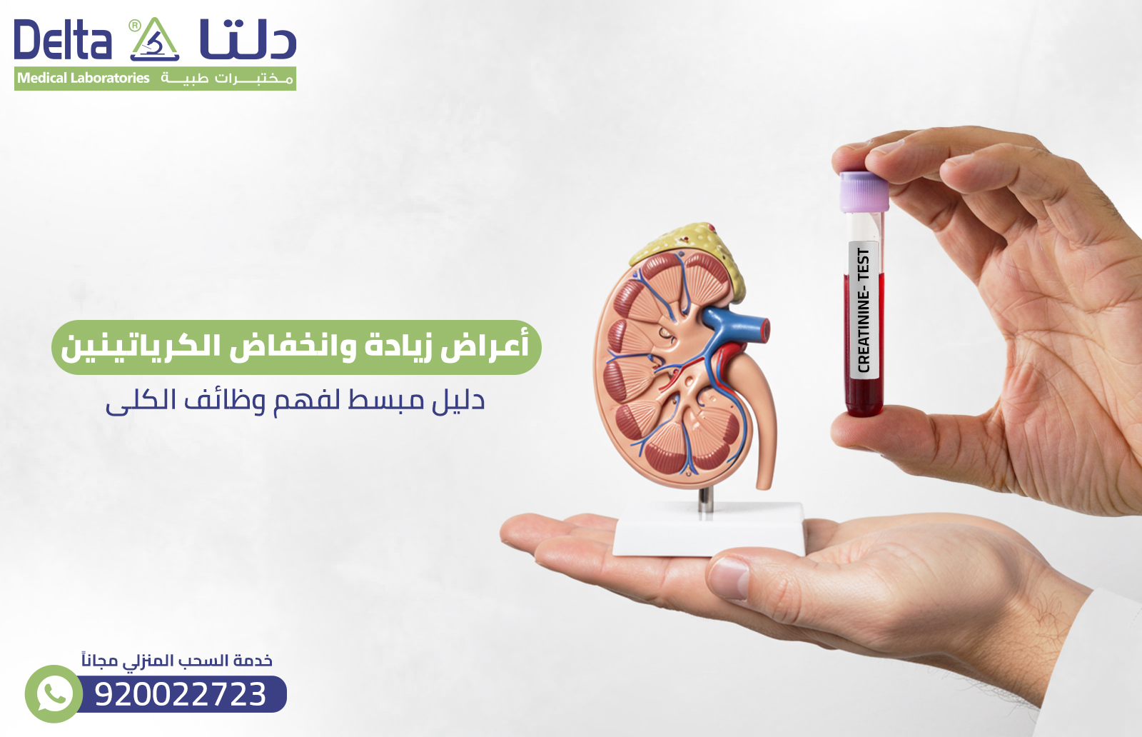 أعراض زيادة وانخفاض الكرياتينين: دليل مبسط لفهم وظائف الكلى