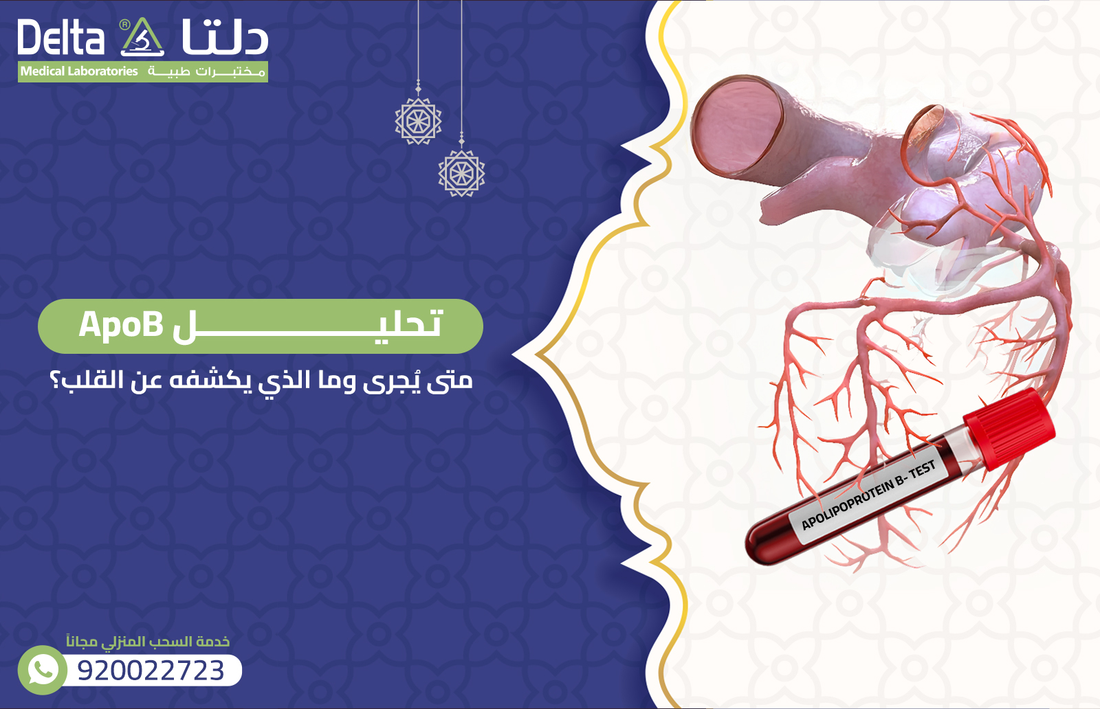 تحليل ApoB: متى يُجرى وما الذي يكشفه عن القلب؟