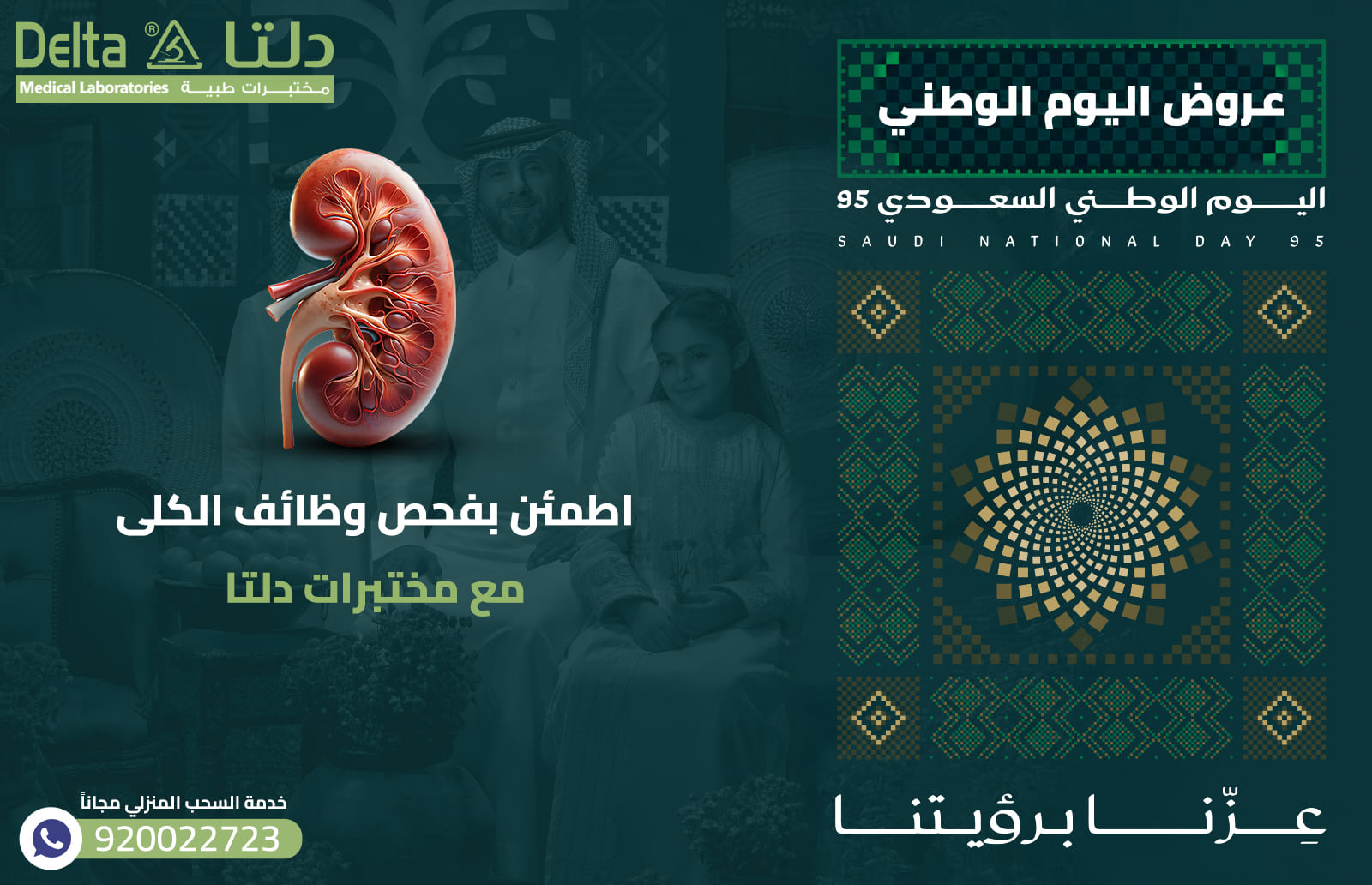 وظائف الكلى