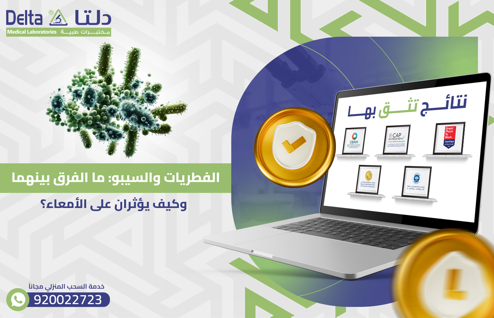 الفطريات والسيبو