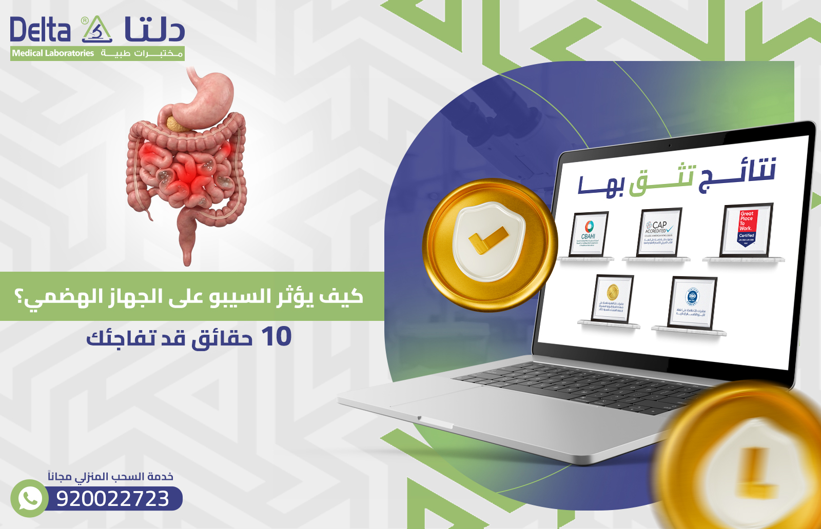 يؤثر السيبو على الجهاز الهضمي